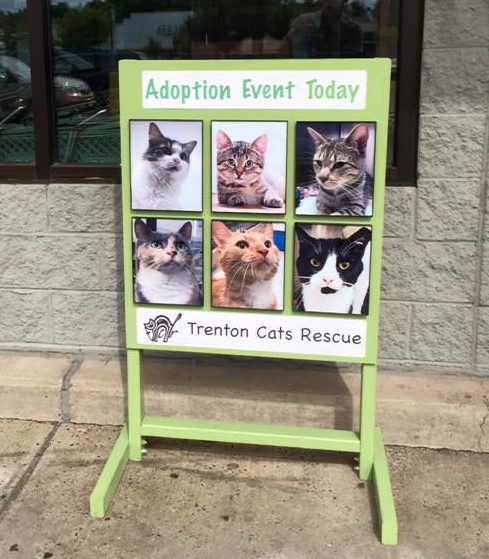 adoption events